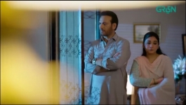 Shehzadi House - Episode 30